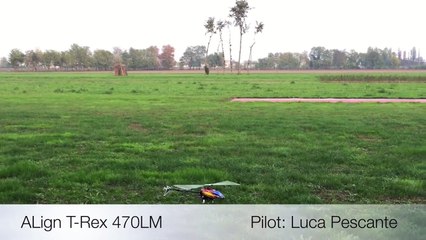 Align T-Rex 470L and NEW Align 74mm Tail Blades - Luca Pescante