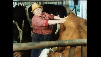 Druhý Dech - Ava Chrtková Brožová