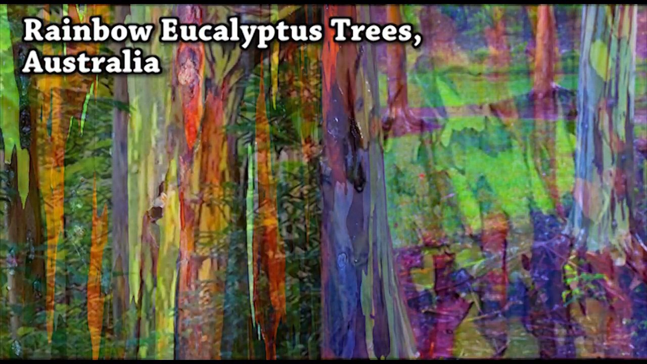 200 Amazing Things in just 10 minutes #1