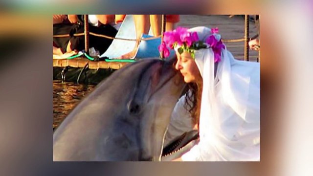 10 Most Shocking Animal Human Relationships