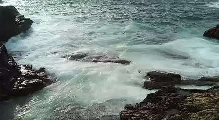 Capodoglio spiaggiato a Porto Selvaggio