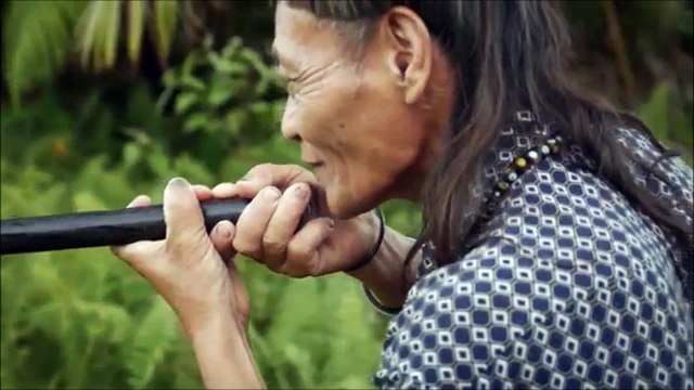 Cette vidéo va faire votre journée! Plié de rire!