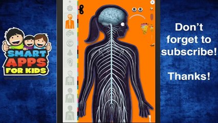 The Human Body by Tinybop part 2 - iPad app demo for kids - Ellie