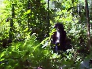 Bruce Parry Tribe - Cannibals and Crampons