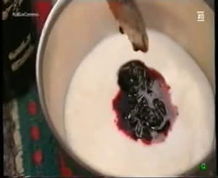 Nutricion: El yogur (Lactobacillus Bulgaricus)