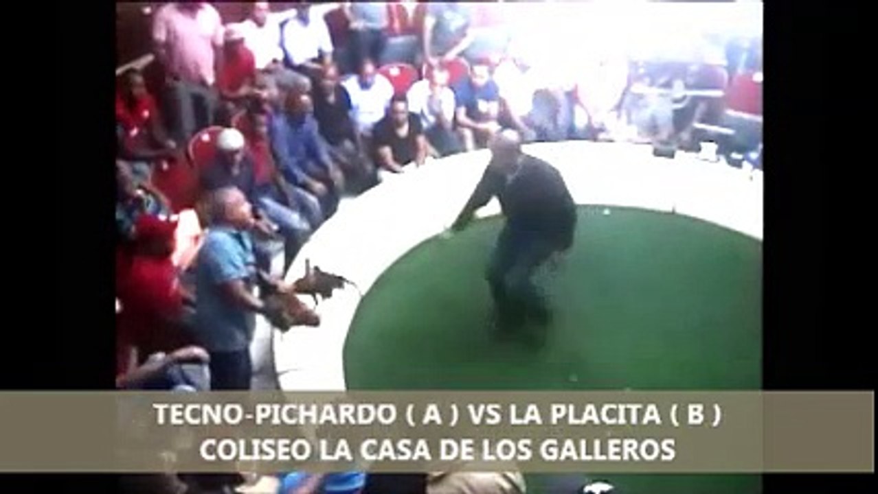 1era. Parte PROGRAMA TECNODEPORTES 29-12-2017 COPA NAVIDEÑA TECNODEPORTES 2017 EN EL COLISEO CASA DE LOS GALLEROS .