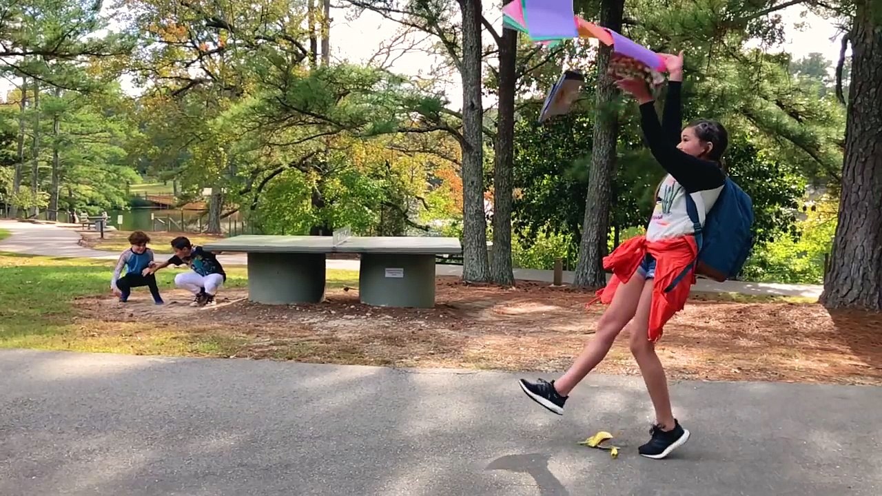 Taylor Swift - Look What You Made Me Do (Haschak Sisters Cover)