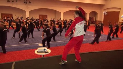 Wushu Kung Fu Antrenörlük ve Hakemlik Vize Semineri