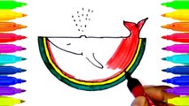 Whale Watermelon color page for kids learn color coloring page How to draw wale easy to draw