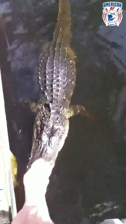 Il laisse ses gamins se baigner avec les crocodiles