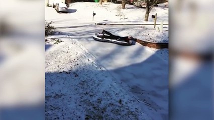 Il n'aurait jamais dû sauter dans cette piscine gelée... ⚆ _ ⚆