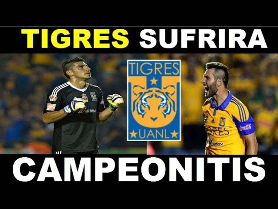 TIGRES EL RIVAL A VENCER EN EL CLAUSURA 2018 TIGRES SUFRIRA CAMPEONITIS