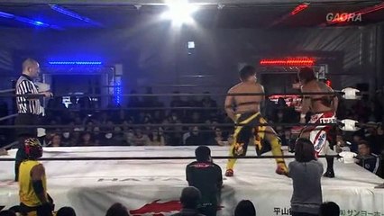 Fake Naoki Tanizaki vs Mr Kyu Kyu Tanoki Dolphin