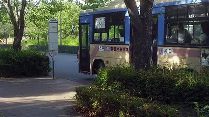 学生クラブ ロマンス映画