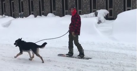 Dog Pulls Snowboarder Through Snowbound Erie, Pennsylvania