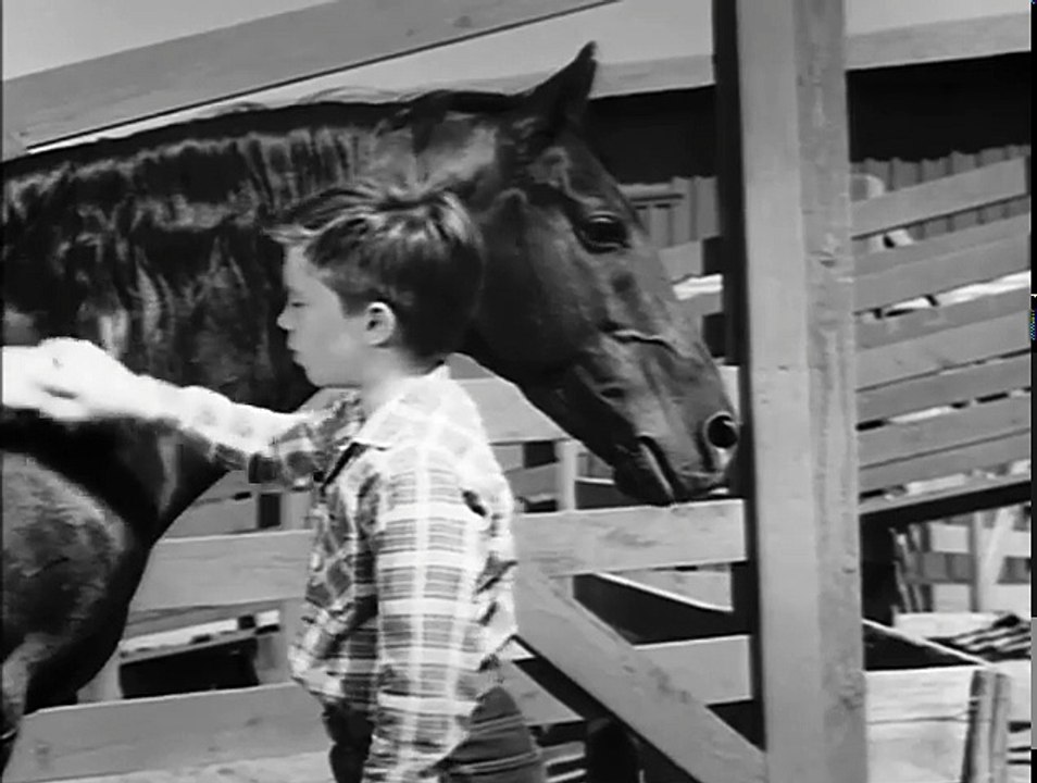Fury JOEY'S FATHER - Peter Graves TV WESTERN