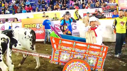 Pequeños Toreros Sábado 30 Diciembre 2017