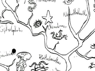 La révolution des Crabes