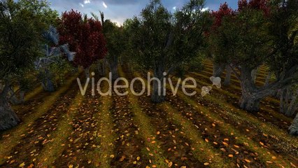 Island and Trees by Elallamy - Hive