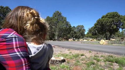 These Campsites Make Traveling in an RV a Blast!