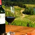 Long Island Wine Tours