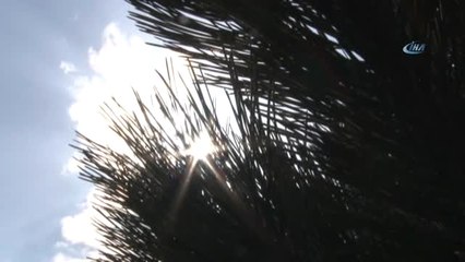 Kış Mevsiminde Güneş Keyfi