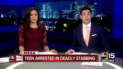 Teen arrested in connection to deadly stabbing in Mesa
