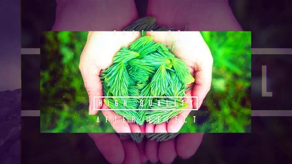 Simple Parallax Photo Gallery by _miko_ - Hive