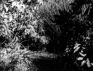 Tarzan's Revenge (1938) JUNGLE ADVENTURE part 2/2