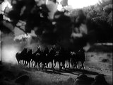The Arizona Kid (1939) ROY ROGERS part 1/2