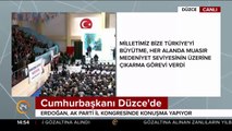 Beyefendi bu milletin bir ferdi değil