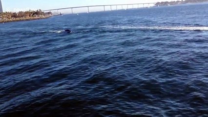 Bizarre robot shark filmed in San Diego, California