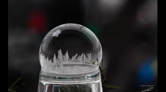 Les températures très basses ont aussi des avantages