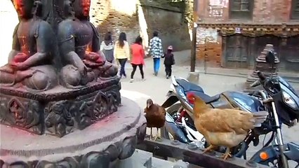 Bhaktapur , Nepal