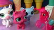 MLP Pinkie Pie 4th of July Littlest Pet Shop Playdoh Treats My Little Pony LPS