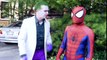 SPIDER-MAN meets HARLEY QUINN & THE JOKER - Superhero Dating in Real Life - TheSeanWardShow | Superheroes | Spiderman | Superman | Frozen Elsa | Joker