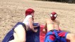 SPIDER-MAN vs SHARK with MARY JANE - Real Life Superhero Battle - TheSeanWardShow | Superheroes | Spiderman | Superman | Frozen Elsa | Joker
