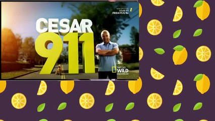 Cesar 911 S02E01 Loaded Gunny