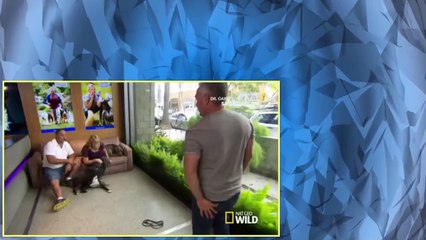 Cesar 911 S01E06 Neighborhood Bully