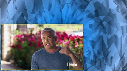 Cesar 911 S04E09 Rocky Road