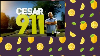Cesar 911 S05E02 Bad for Business