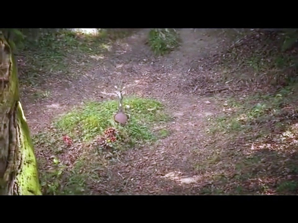 The Neanderthals: Dark Secret