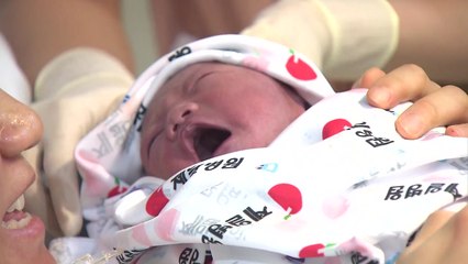 "2018년 새해 밝았다"...무술년의 첫 순간 / YTN