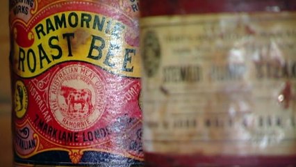 Life After People S01E01 The Bodies Left Behind