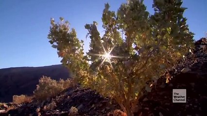 de.adliest Space Weather S01E01 - Venus