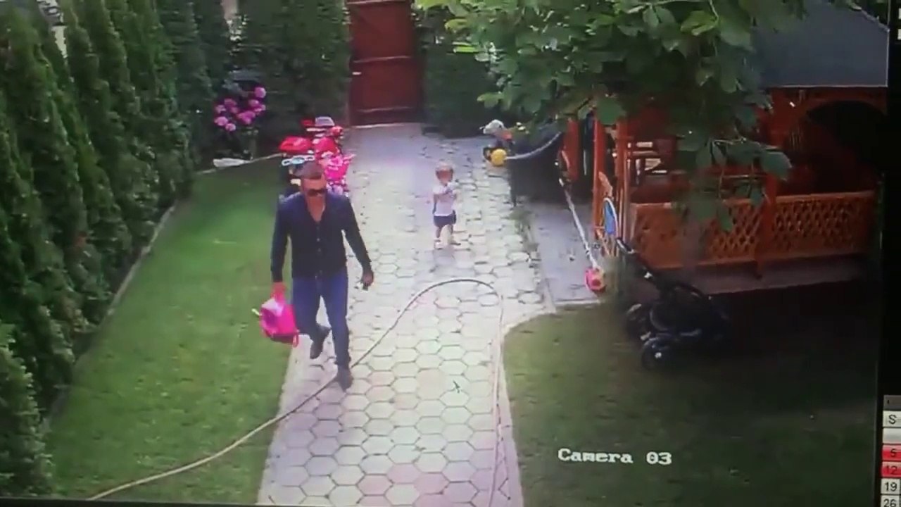 Ce papa héroique va sauver son enfant de justesse alors qu'un chien s'en prend à lui