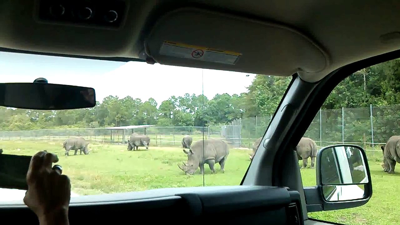 "safari" in floriduh part 12