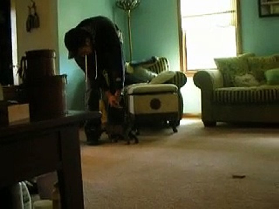 Coco & Fatboy as Pups w/ Denise
