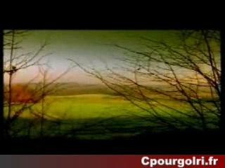 Salope cochon