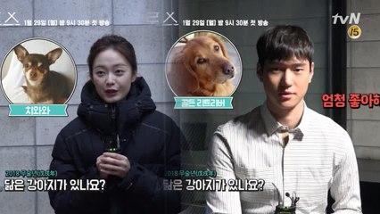 [메이킹]2018년 '황금 개의 해'를 맞은 배우들의 새해인사♥